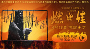 成年人午夜网站